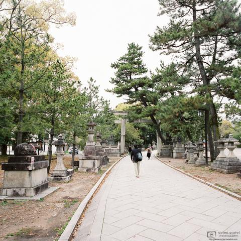 Stone lanterns along the approach to Kitano Tenmangu in Kyoto, Japan.
