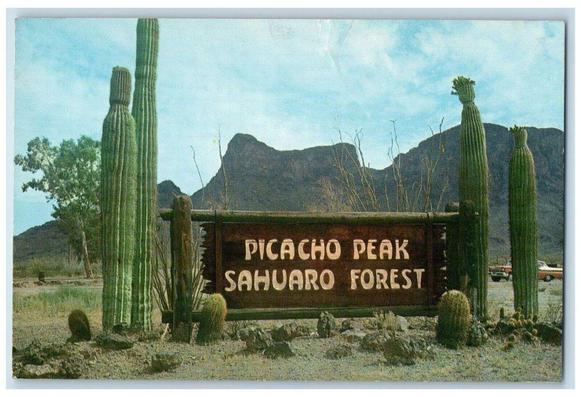Cacti sit on each side of the sign to the park.