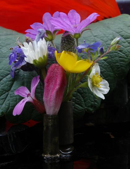 A pink club-shaped hairy bud with five ribs and a pink geranium flower are stuck in a 5.6 mm bullet casing. Behind it is a 9 mm pare bullet casing, which is decorated with a flower and several buds of blue speedwell, a daisy of which you can only see its white petals and some green, a buttercup blossom, a strawberry blossom, a blossom that looks like a perfect pine cone, two light purple flowers of another geranium species and two purple-blue Gundermann flowers and a bud (glechoma hederacea, ground ivy). The casings stand on a wet black glass plate, which also forms the background together with a large dark green strawberry leaf and two deep red poppy leaves.