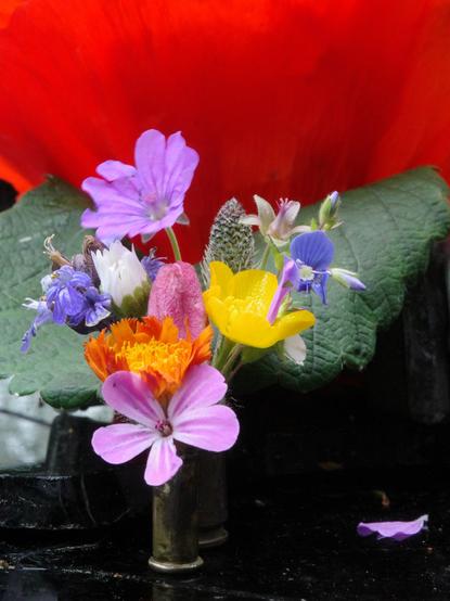 See the alternative text of the quoted post, please. A blossom of orange hawkweed was added to the tiny bouquet.