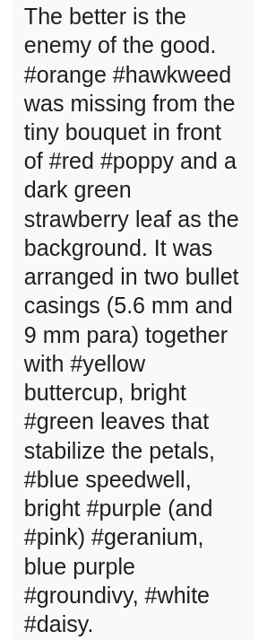 The screenshot reads:
The better is the enemy of the good. #orange #hawkweed was missing from the tiny bouquet in front of #red #poppy and a dark green strawberry leaf as the background. It was arranged in two bullet casings (5.6 mm and 9 mm para) together with #yellow buttercup, bright #green leaves that stabilize the petals, #blue speedwell, bright #purple (and #pink) #geranium, blue purple #groundivy, #white #daisy.