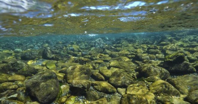 Forest lands along Klamath River returned to California's Yurok Tribe