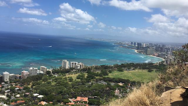 A panoramic view from a high vantage point overlooking Honolulu. The turquoise Pacific Ocean stretches to the horizon, meeting the city skyline and Waikiki beach. A large green park and lush trees sit between the coast and the foreground hillside.