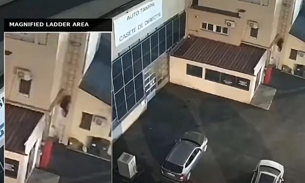 Romania's Intelligence Service (SRI) announced on Monday that it had uncovered a sabotage network coordinated by Russia which had been behind a fire at an industrial site in central Romania in September.In a statement published on its website, the i  source/editor : Krassen Nikolov