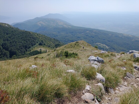 An alpine trail in the foreground, lush, green hills in the background, dusty summer skies. 