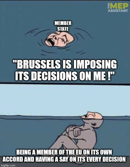Meme del tío que se ahoga sentado con la cara fuera del agua, el tío son los estados miembros que gritan que la UE les impone  cosas mientras son ellos quienes controlan la UE.