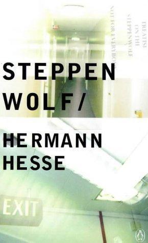 A cover of Hermann Hesse's Steppenwolf

The cover image is a collection of overexposed photographs of hallways and stairways, which cover the page in a confusing and slightly unsettling collage