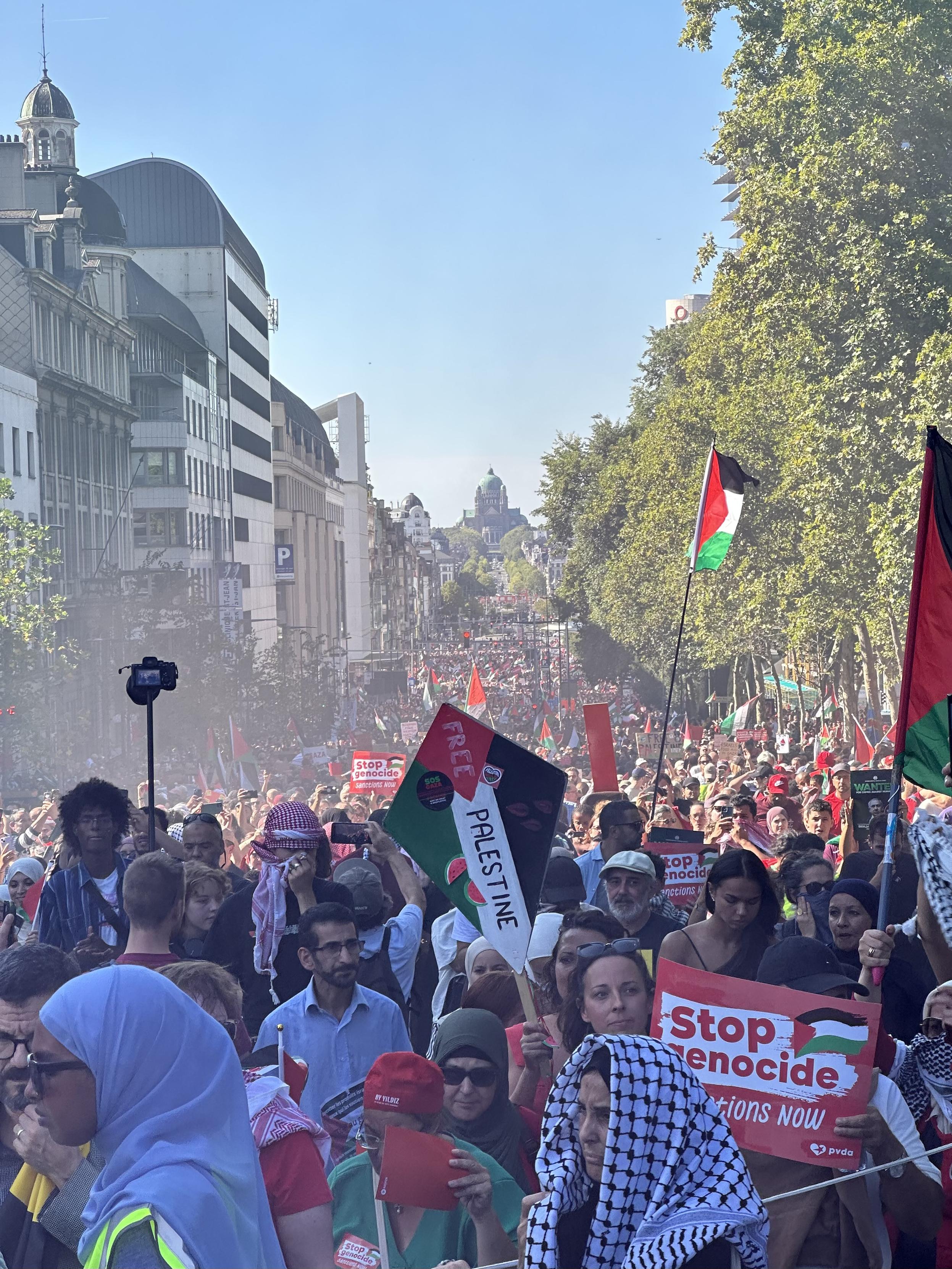 A huge red-clad demonstration for Palestine, with flags and “Stop the genocide” signs, stretches into the distance on a large boulevard leading to a distant domed building