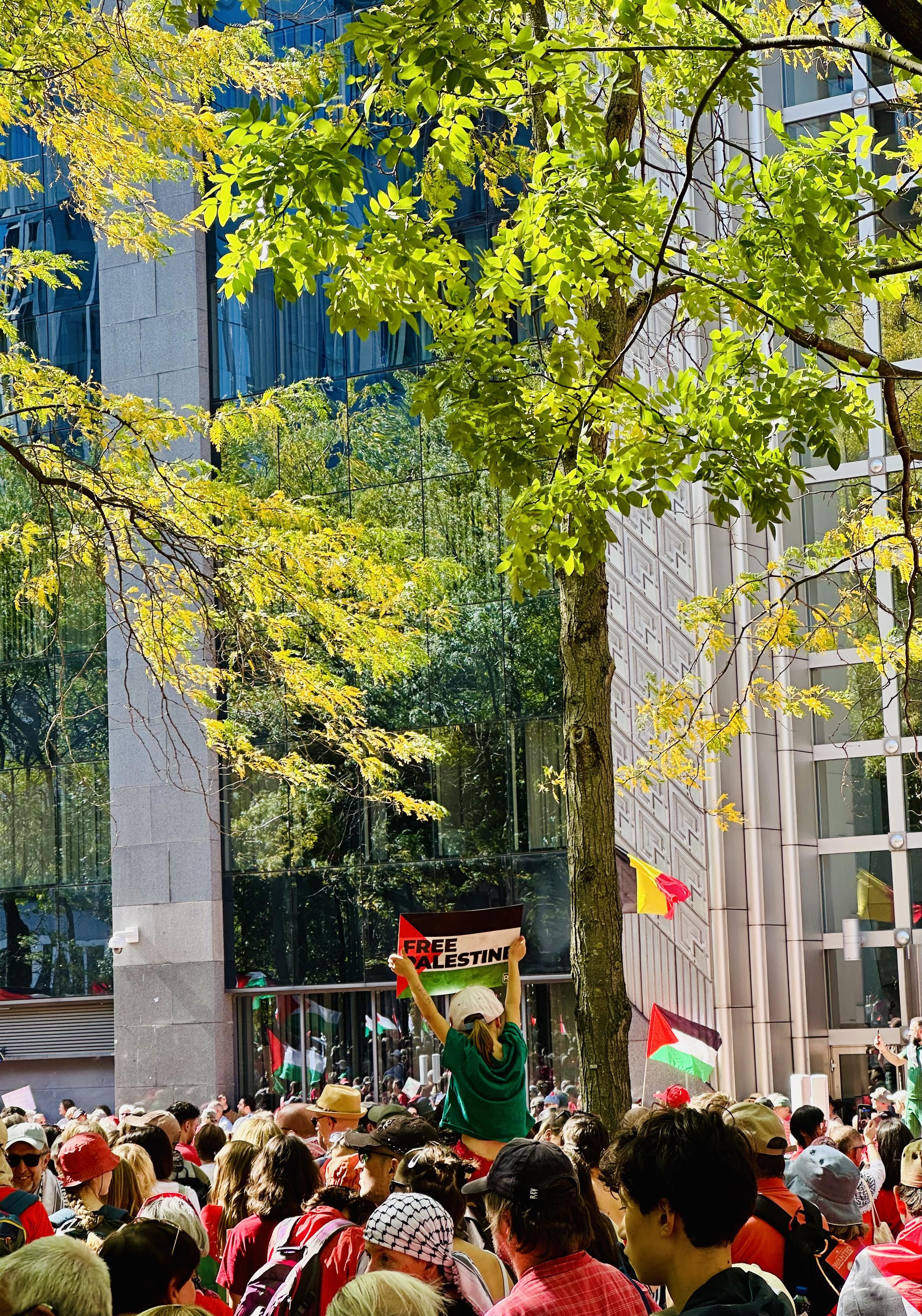 In the midst of a red-clad demonstration, a girl sat upon her father’s shoulders holds up a sign “Free Palestine”. Green leaves, reflected in skyscrapers behind, sway overhead.