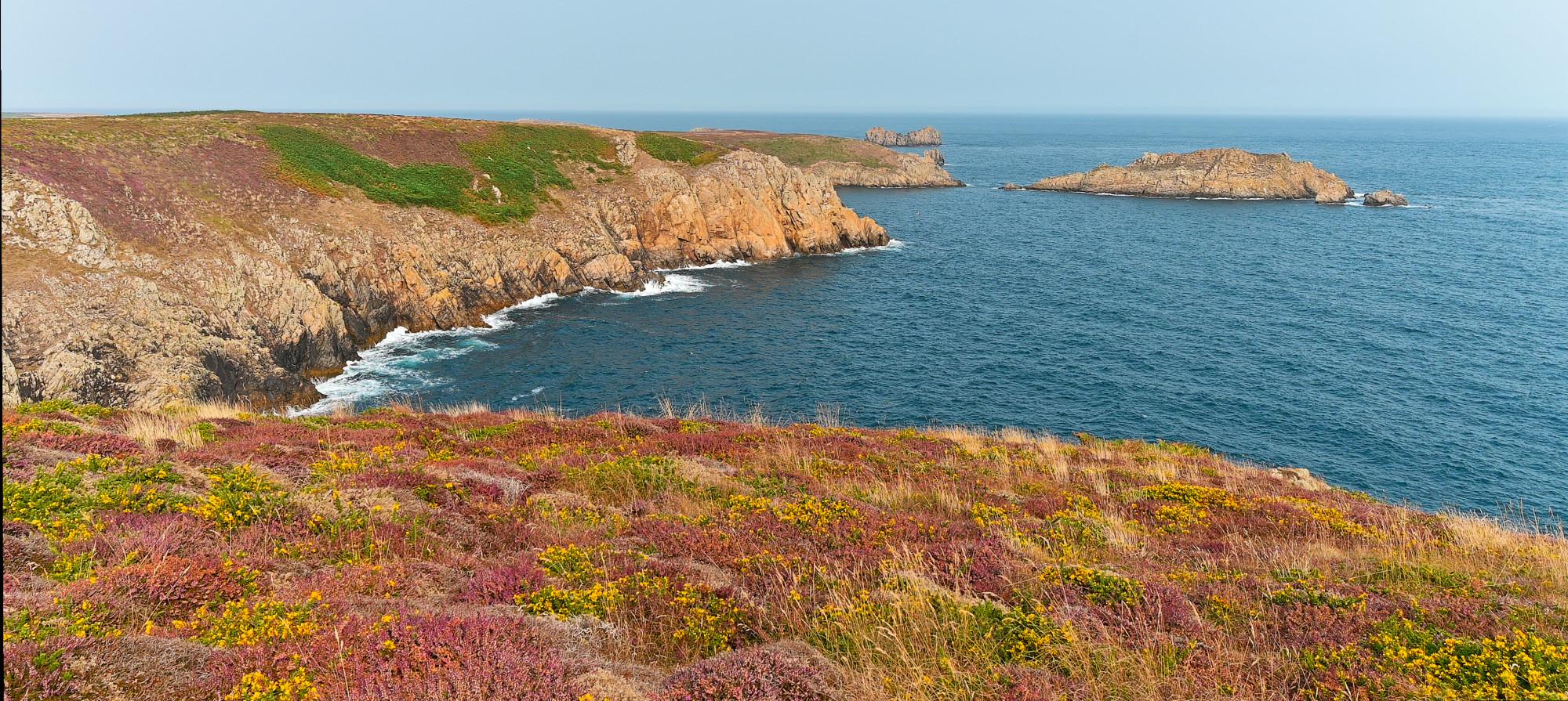 A panorama of a cliff overlooking the sea. The foreground is covered with red-brown heath. To the distance towards the left you see the continuation of the rocky cliff, yellowish rock, green grass and red-brown heath. To the right the striking blue sea and white waves crashing on the bottom of the cliff in the distance.